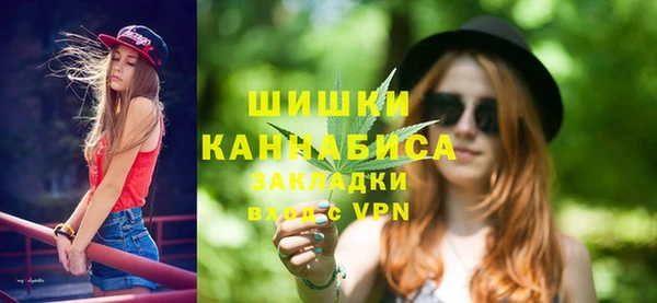 твердый Бронницы