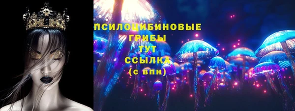 твердый Бронницы