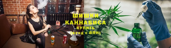 молекула духа Осинники