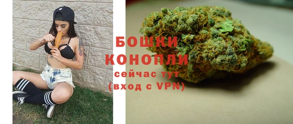 твердый Бронницы