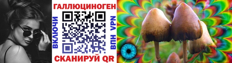 Галлюциногенные грибы Psilocybine cubensis  дарнет шоп  блэк спрут tor  Верхний Тагил 